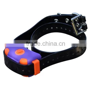 Petrainer Smart Dog Training Collar Training Dog Products Antibark Collar thumbnail-4