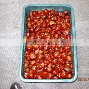 Good Both in Shape and Taste,dandong Chestnut thumbnail-6
