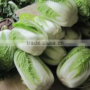 Broccoli for Sale thumbnail-1