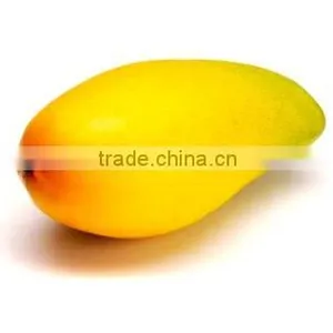 Sweet Chaunsa Mango thumbnail-1