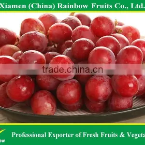 Fresh Red Globe Grape From Yunnan China thumbnail-2