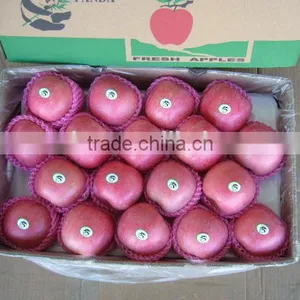 Fresh Apple Fruit Wholesale Distributors thumbnail-2