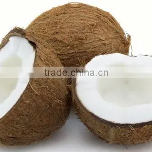 Natural Unprocessed Coconuts for Sale thumbnail-1