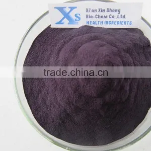 Natural High Quality Bilberry Extract /Bilberry Powder thumbnail-1