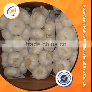 Fresh Garlic Good Quality thumbnail-5