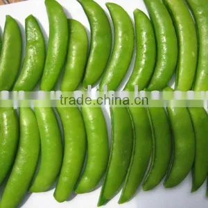 Frozen Sugary Snap Pea thumbnail-1