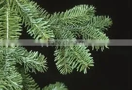 Balsam Oil thumbnail-6