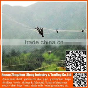 Chinese Factory Directly Supply Knitted Economy Anti Bird Netting , Cheap Plastic Hdpe / pe Anti Bird Net thumbnail-4
