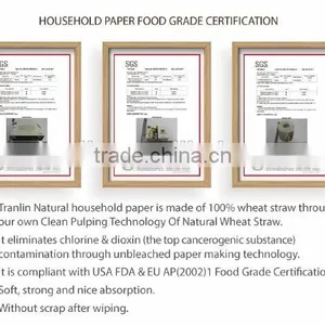 Health Facial Paper thumbnail-5