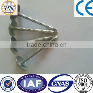 Roofing Coil Nails thumbnail-5