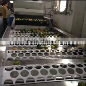 Fruit Washing Waxing Machine/vegetable Sorting Machine thumbnail-5