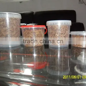 Broiler Poultry Feed Organic Dried Mealworm thumbnail-3