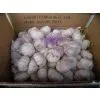 Normal White Garlic thumbnail-3