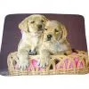 Printed Blanket thumbnail-1