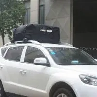 Waterproof 600D Polyester Bag/car Roof Top Bag/cargo Bag 1B0101-4 thumbnail-1