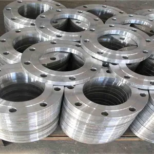 Customized Cr Cf Plate Flange For Pressure Vessel thumbnail-1