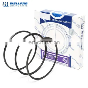 VT365 Engine Parts Wellfar Piston Rings Set 114mm For Navistar Engine thumbnail-4