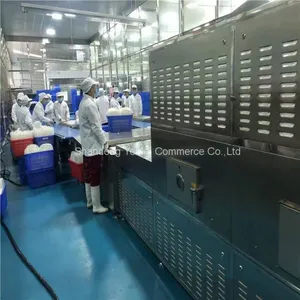 Industrial Microwave Oven, Tunnel Microwave Food Drying Sterilization Machine thumbnail-4