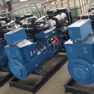 China Supplier Factory Direct Price Electric Portable Generator thumbnail-1