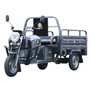 High Quality and Good Looking Electric Tricycle E-Trike 3 Wheeler Motortricycle For Cargo Transport thumbnail-2