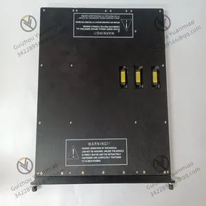 Triconex 3626X Digital Output Module thumbnail-2
