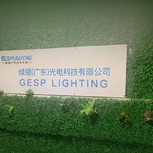 Green Collar (Guangdong) Optoelectronic Technology Co., Ltd. company overview - view 1 thumbnail