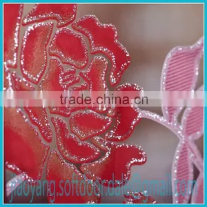 2013 New Design Mosquito Mesh Door thumbnail-5