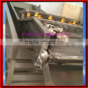 Bubble Type Kelp Washing Machine|Mushroom and Bean Sprout Cleaning Machine thumbnail-4