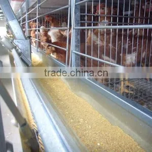 Poultry Farming Equipment Meat Broiler Cage for Steel Chicken House thumbnail-3