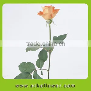 Reasonable Price Two Heads Autumn Stem Fresh Rose thumbnail-6
