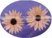 Dried Flower thumbnail-1