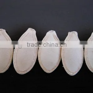 Shine Skin Pumpkin Seeds, In Shell thumbnail-1