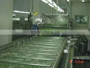 Stainless Steel Radish Potato Carrot Ginger Beet Washing Machine thumbnail-1