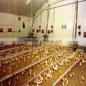 Broiler Chicken Poultry Farm Equipment thumbnail-1