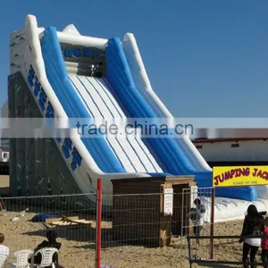 Cheap Inflatable Bouncer Giant Inflatable Water Slide for Kids Outdoor Play thumbnail-6