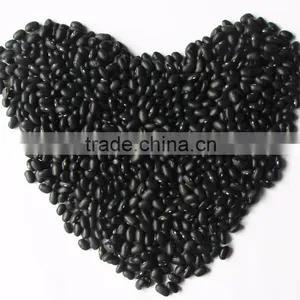 Dired China Bean for Sale in for Black Bean for Sale thumbnail-4