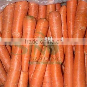 Hot Sale Fresh Red Carrot thumbnail-1