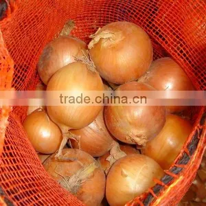 Fresh Yellow Onion thumbnail-2