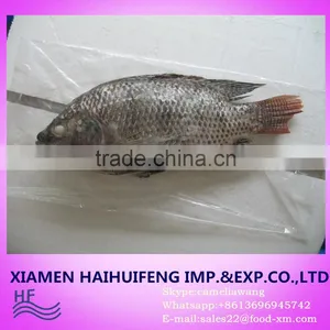 Price Frozen Tilapia Fish Whole Round and Gutted Scaled thumbnail-1