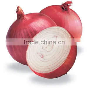 RED ONION FROM EGYPT thumbnail-1