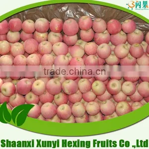 Fresh Fruit China Apple Export Manufacturer Fuji thumbnail-1