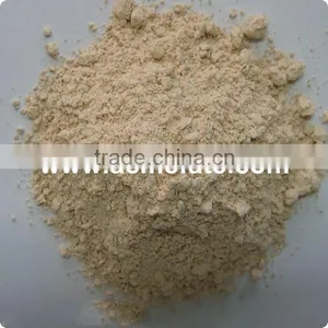 Dehydrate Vegetable Competitive Price Garlic Powder thumbnail-2