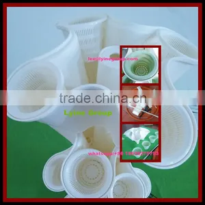 Hydroponic Greenhouse Systems /aquaponic System thumbnail-1