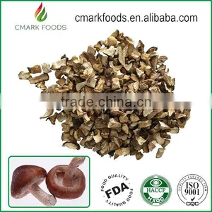 Dried Oyster Chaga Reishi Mushroom Spawn Power thumbnail-1