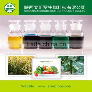 Kasugamycin 4%SL With Competitive Price thumbnail-1