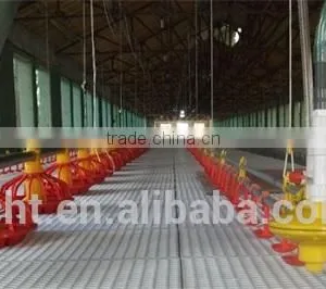 Chicken Plastic Floor thumbnail-4