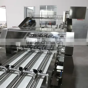 Automatic Counting System For Biscuit On-Edge Packing thumbnail-2
