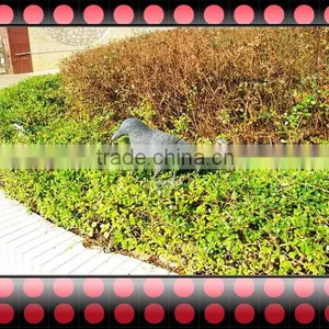 OEM HDPE Plastic Bird Decoy,Fire Bird,plastic Pigeon Decoy,hunting Decoy Bird thumbnail-2