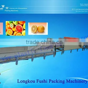 Fruit Washing and Waxing Machine thumbnail-1