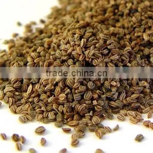 Celery Seeds thumbnail-1
